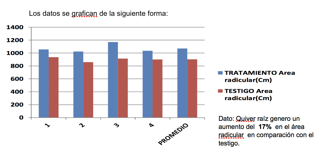 Prueba T Cnica Innovaci N Agr Cola