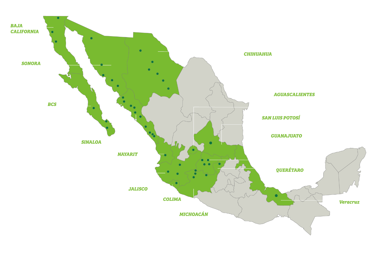 Encuentra tu sucursal más cercana