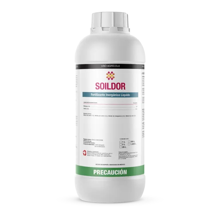 Soildor