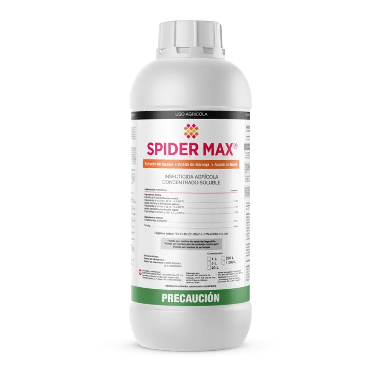Spider Max