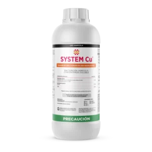 System Cu