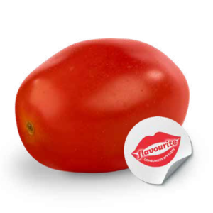 Mulan (cherry)