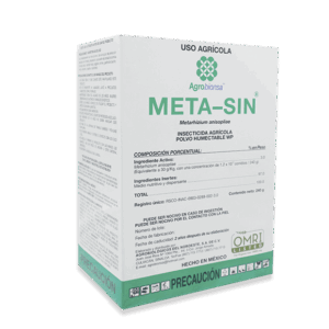 Meta-Sin