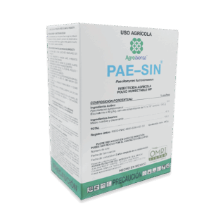 Pae-Sin
