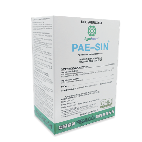 Pae-Sin